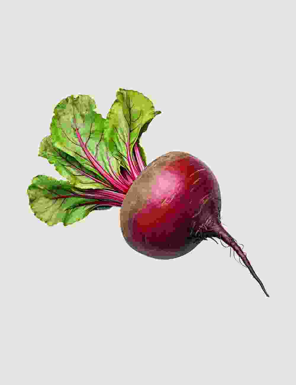 Fresh  Beetroot