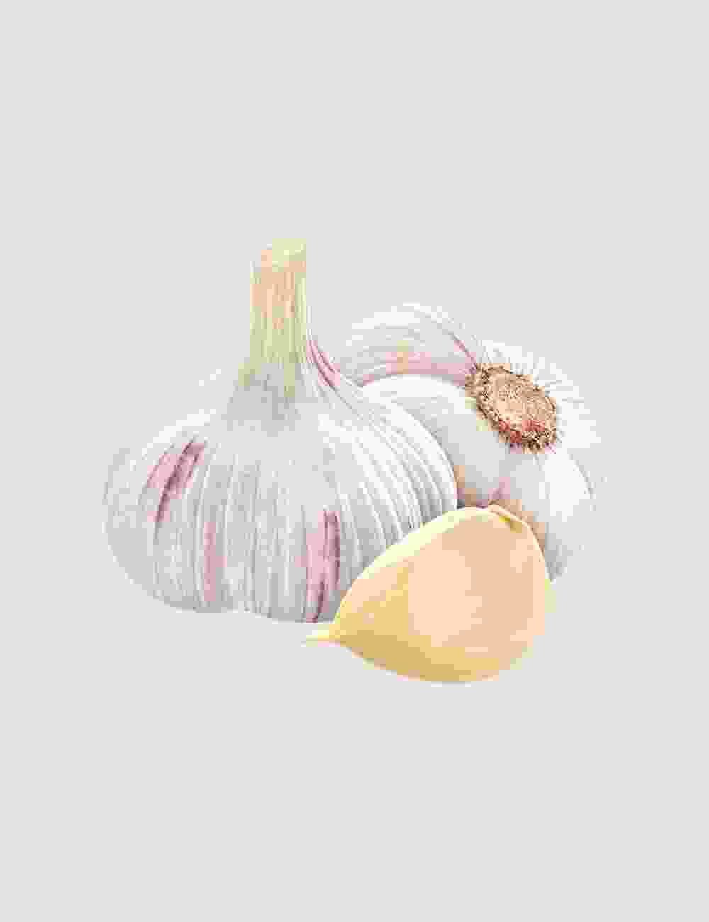 White Garlic